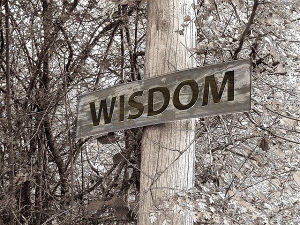 How to Think Clearly and Make Better Decisions: Part 3 – Keep Experts on Tap, Not on Top